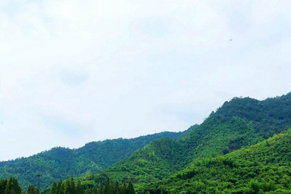 18家！四川省2025年第二批省级绿色矿山入库名单公示